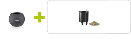 Beim LECHUZA-PURO Color 20 All-in-One Set inklusive