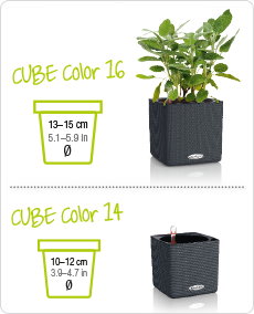 CUBE Color Größenvergleich