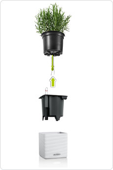 CUBE Color - Docht-Prinzip