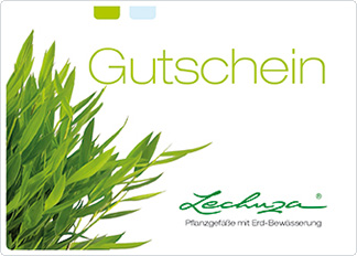 Gutscheinvorlage grün